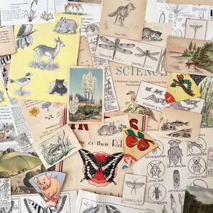 TRUE Vintage Nature Ephemera 25 PCS Junk Journal Botanical Animal Illustrations